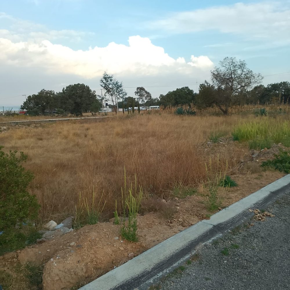 venta de lotes en tlaxcala